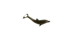 Dolphin-Shaped Bottle Opener