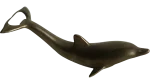Dolphin-Shaped Bottle Opener - Image 2