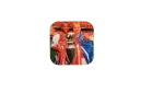 Henry - Bergkamp Coaster - Image 4