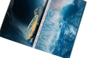 JAWS - National Geographic Magazine 1998 - Image 5