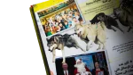 Guinness World Records Book 2009 - Image 5