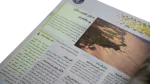 Guinness World Records Book 2007 - Image 6
