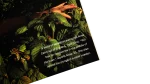 National Geographic Magazine 1992 - Image 9