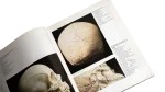 1970's Colour Atlas of Human Anatomy - Image 7