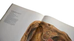 1970's Colour Atlas of Human Anatomy - Image 8