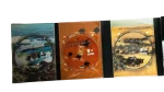 Planet Earth DVD Box Set - Image 5
