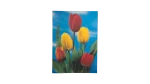 Tulip Biconvex 3D Postcard
