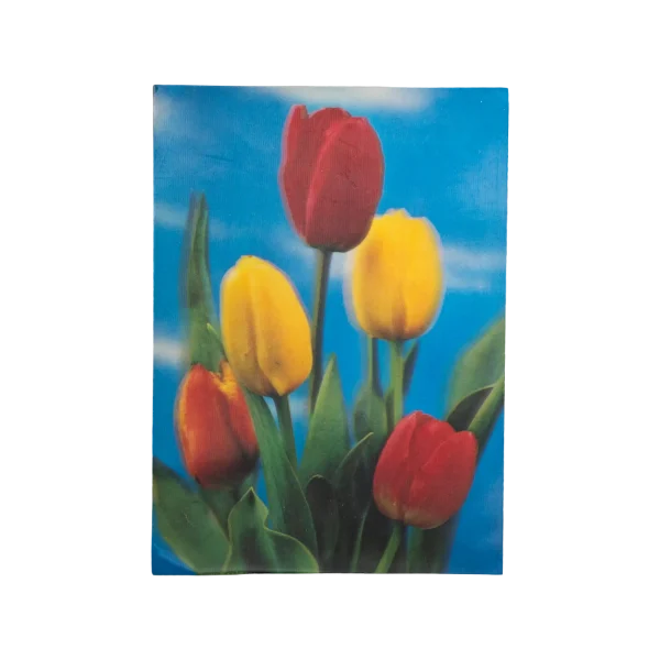Tulip Biconvex 3D Postcard