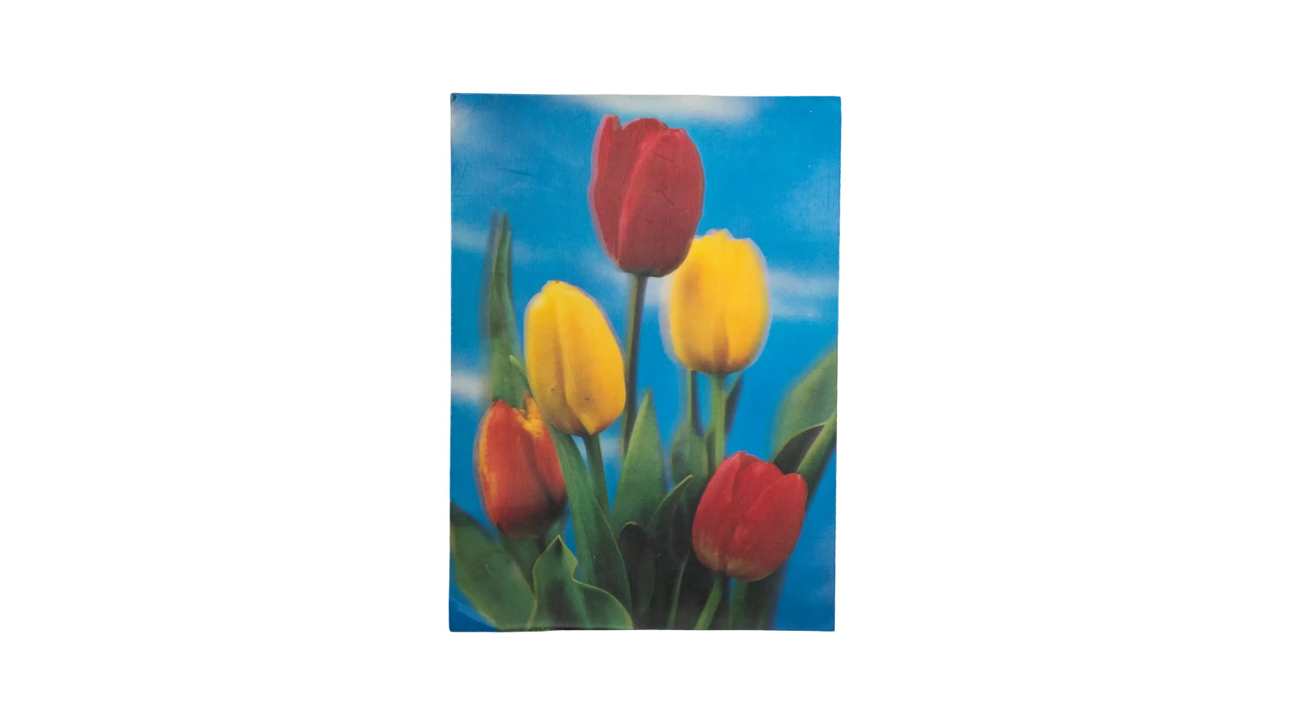 DSC08561 Tulip Biconvex 3D Postcard - Image 1