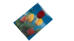 Tulip Biconvex 3D Postcard - Image 3