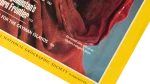 Sharbat Gula National Geographic Magazine 1985 - Image 14