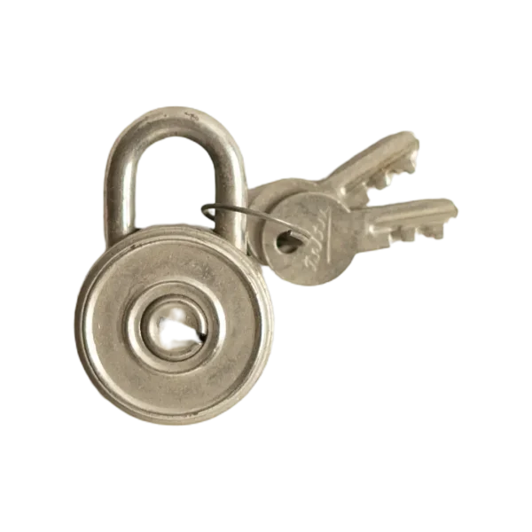 Tri-Circle Mini Circular Padlock with 2 Keys