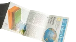 National Geographic World Ocean Floors Pacific Map - Image 6