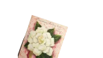 Anniversary Greetings Aunt And Uncle Card - Image 2