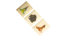 All Dogs Go to Heaven Panini Stickers - Image 6