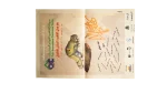 Cairo International Children Festival 2nd Edition Poster - Image 5