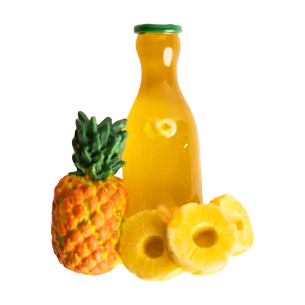 Pineaple Juice Fridge Magnet