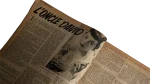 Épouse par Intérim - Confidences Magazine - Image 7