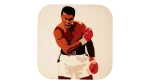 Muhammad Ali Coaster