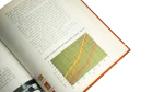 The Social Sciences: Concepts and Values Book - Image 7