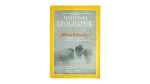 Buffalo Back Home National Geographic Magazine 1994