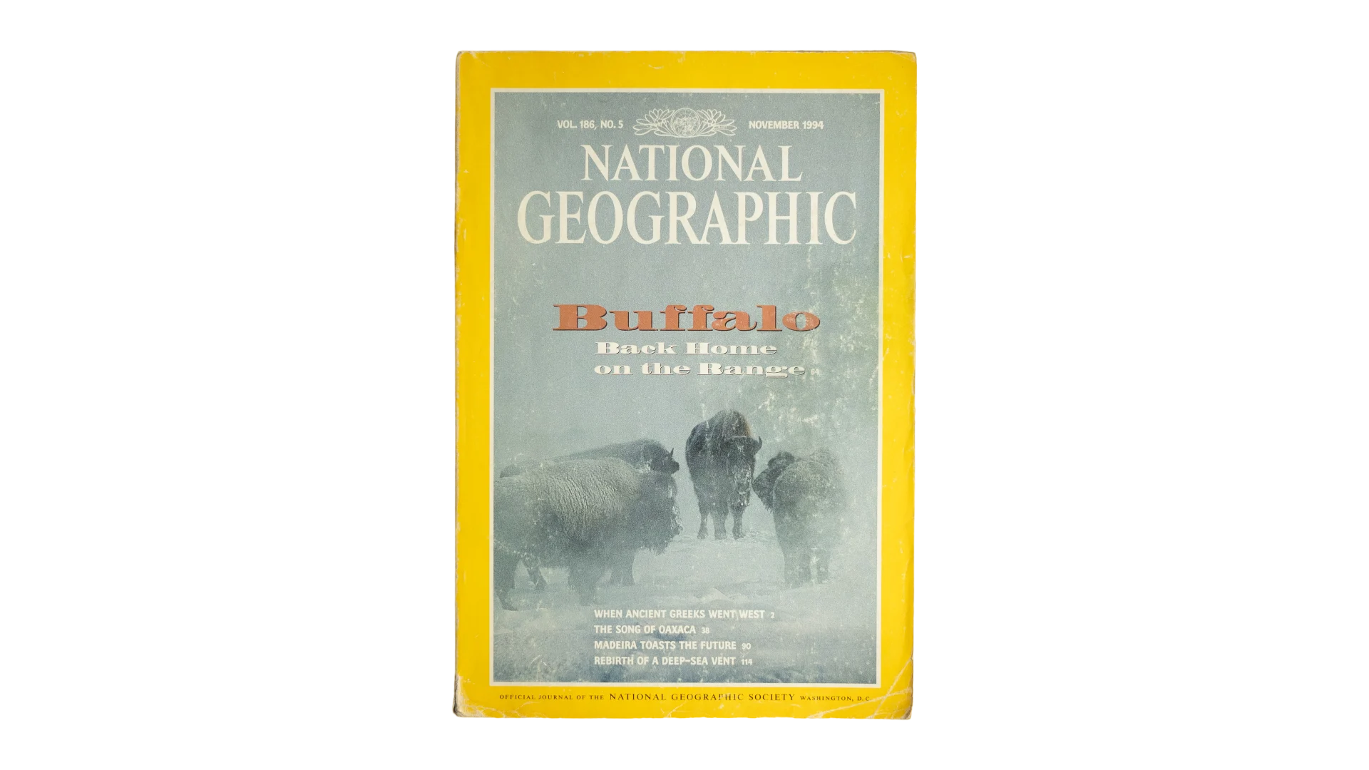 2 DSC07864 Buffalo Back Home National Geographic Magazine 1994 - Image 1
