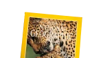 National Geographic July 1996 Magazine - Image 2