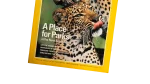 National Geographic July 1996 Magazine - Image 4