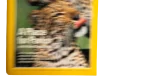 National Geographic July 1996 Magazine - Image 5