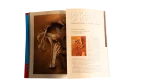 National Geographic July 1996 Magazine - Image 10