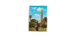 1980's Cairo Postal Cards - Image 12