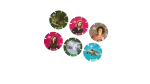Harry Potter Tazos - Image 3