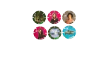 Harry Potter Tazos - Image 4