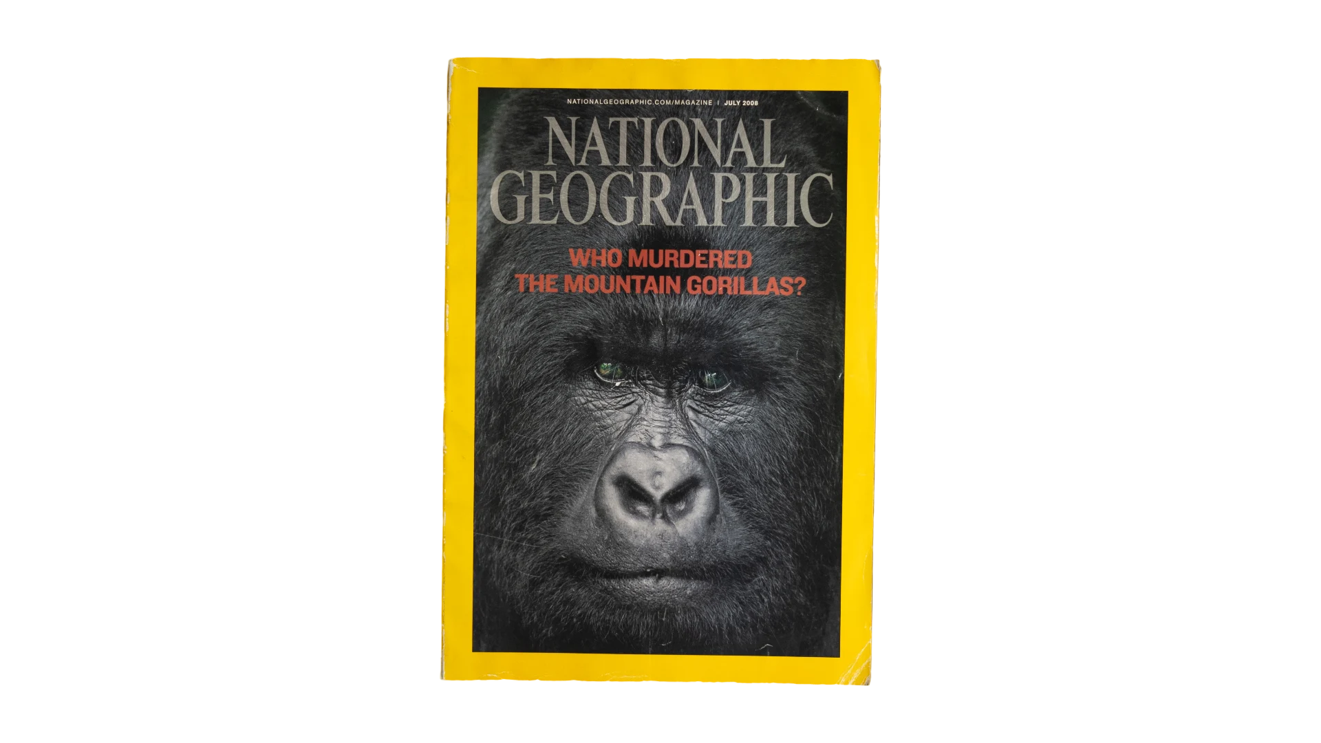 3 DSC07874 Mountain Gorillas National Geographic Magazine 2008 - Image 1