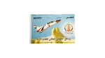 Egypt K-8 Aircraft Philatelic Souvenir