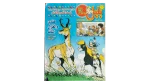 "The Indian & The Lost Deer" Bolbol Comic Issue #142