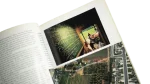 Jane Goodall National Geographic Magazine 1995 - Image 9
