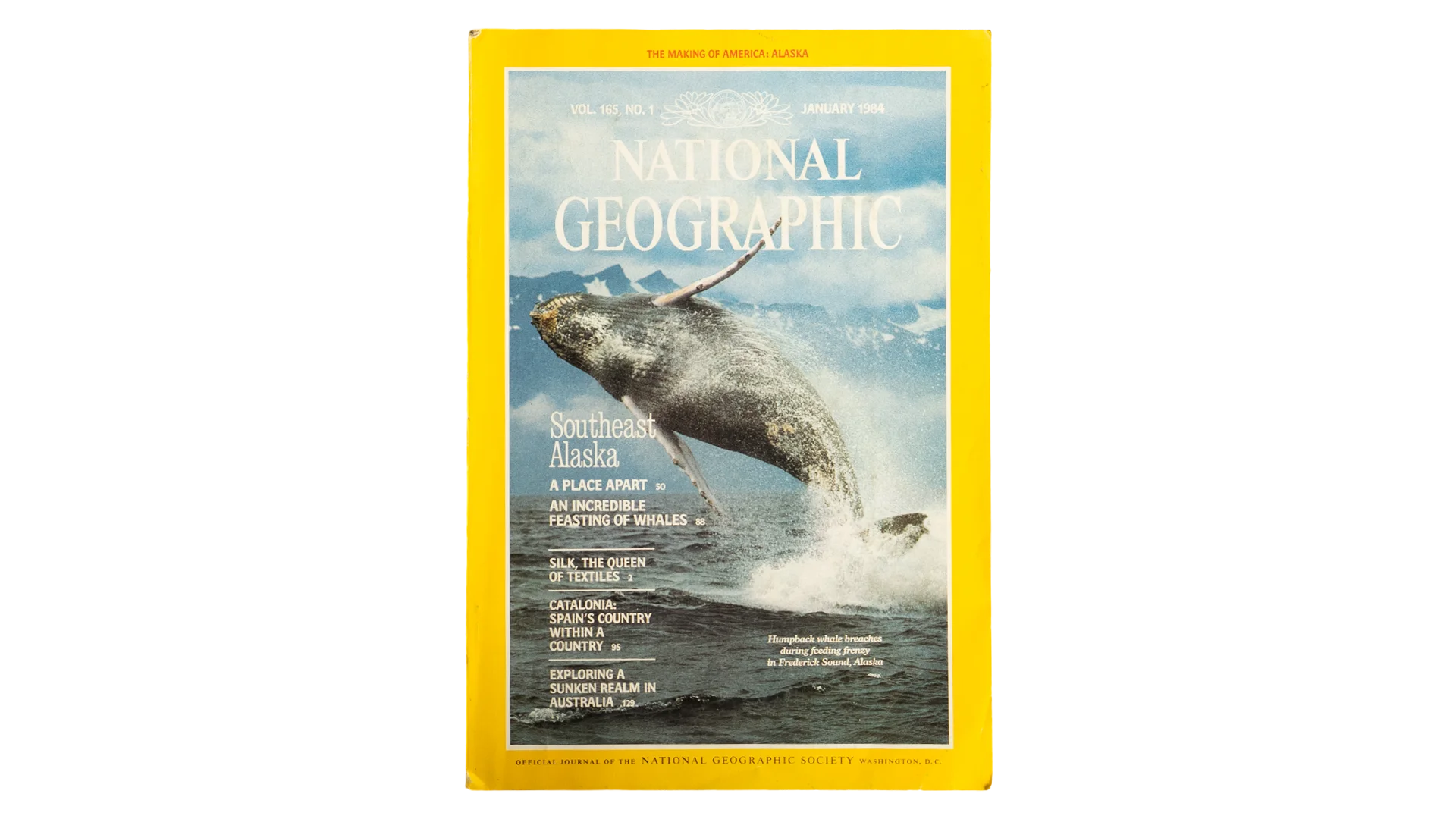 3320 DSC06052 Southern Alaska - National Geographic Magazine - Image 1