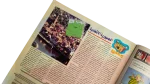 Bolbol Comic Issue #109 - Image 5