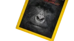 Mountain Gorillas National Geographic Magazine 2008 - Image 3
