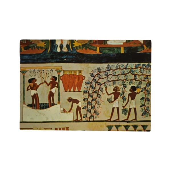 The Vineyards of Thebes Postcard