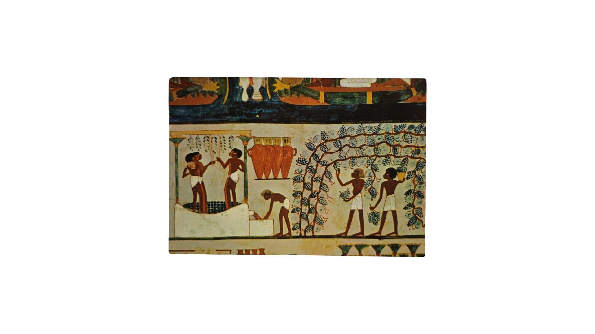 49 Aug1DSC04839 The Vineyards of Thebes Postcard - Image 1