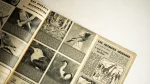 Point de Vue Images du Monde Magazine - Image 7