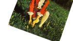 1960's Alam El Maraa Magazine - Image 3