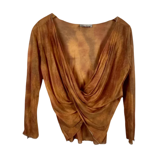 Y2K Ruffle Trim Embroidered Sheer Top