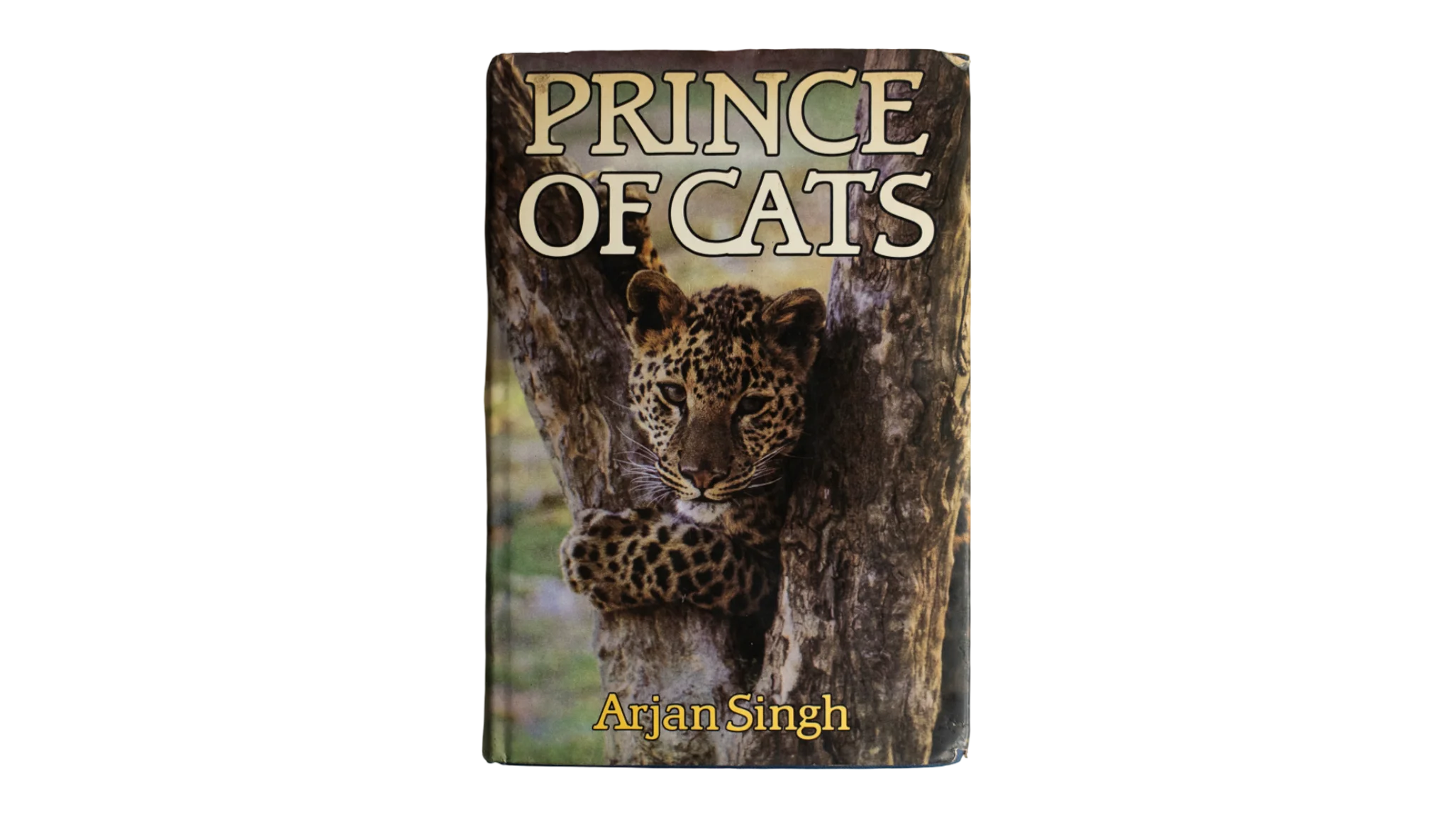 10 DSC09352 10 Prince of Cats by Arjan Singh / 1982 - Image 1