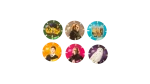 Harry Potter 6 Tazo Set