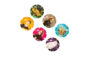 Harry Potter 6 Tazo Set - Image 2