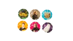 Harry Potter 6 Tazo Set - Image 4