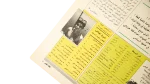 Diving and Fishing For Amateurs - Howa wa Heya Magazine - Image 4